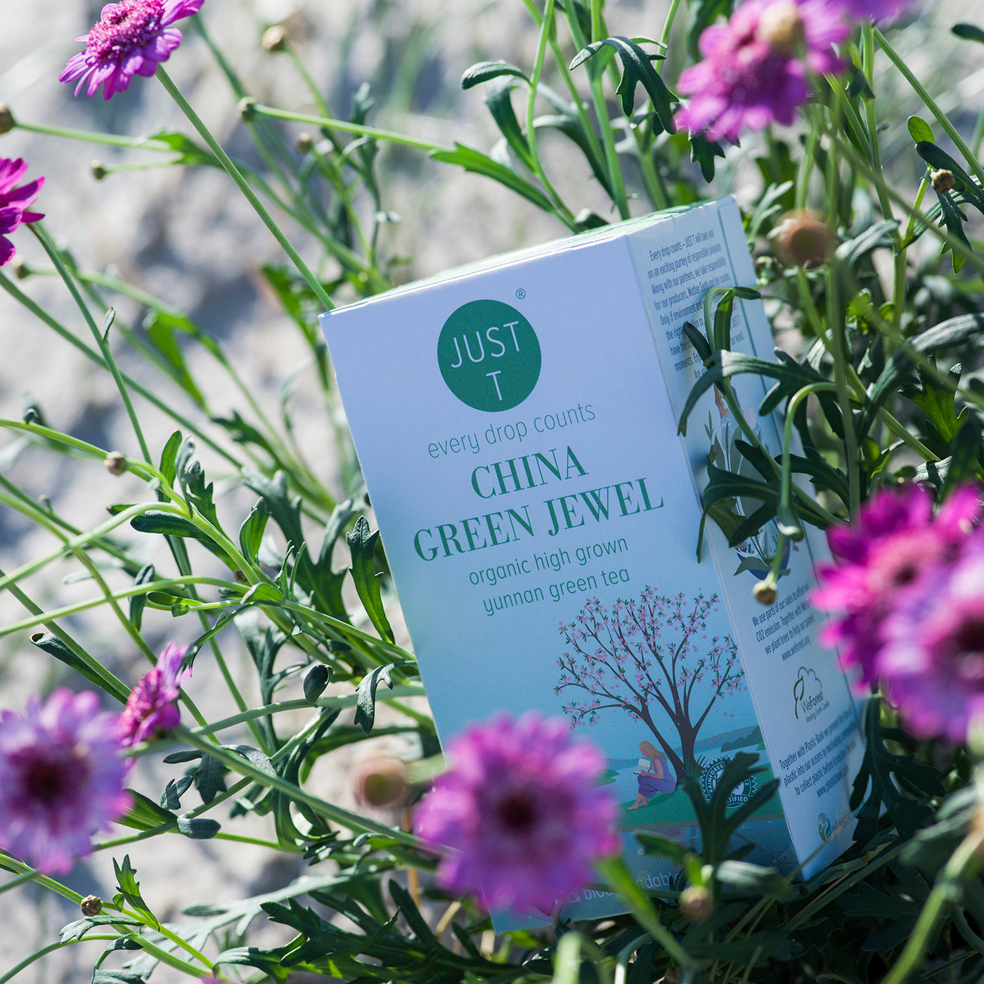 定価4.2万 新品 GIU GIU NONNA JEWEL TEE S グリーン justt-organic_green_tea-